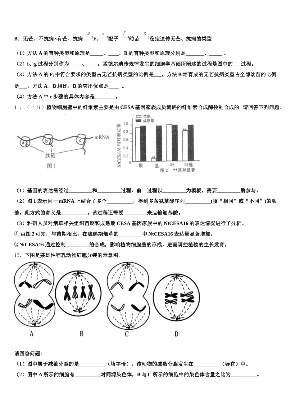 新疆乌鲁木齐市第一中学2025届高一下生物期末经典模拟试题含解析_第3页