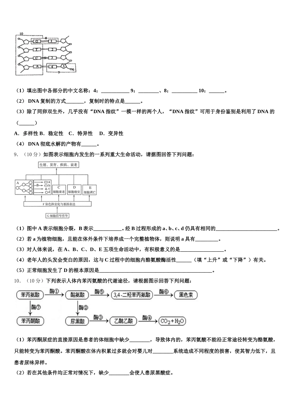 新疆维吾尔自治区和田地区2025年高一生物第二学期期末复习检测试题含解析_第3页