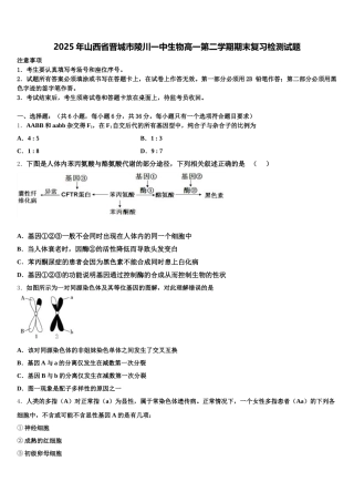 2025年山西省晋城市陵川一中生物高一第二学期期末复习检测试题含解析
