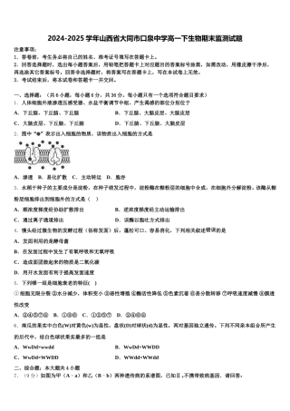 2024-2025学年山西省大同市口泉中学高一下生物期末监测试题含解析