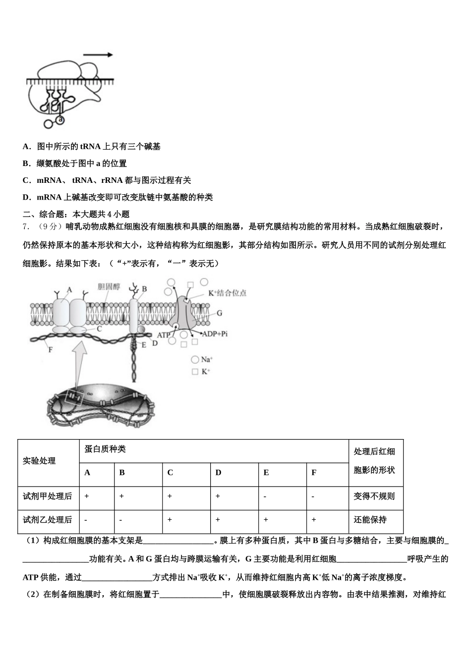 山西省西安中学2024-2025学年生物高一第二学期期末经典试题含解析_第2页