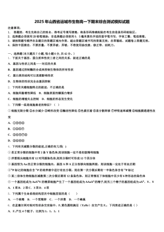 2025年山西省运城市生物高一下期末综合测试模拟试题含解析