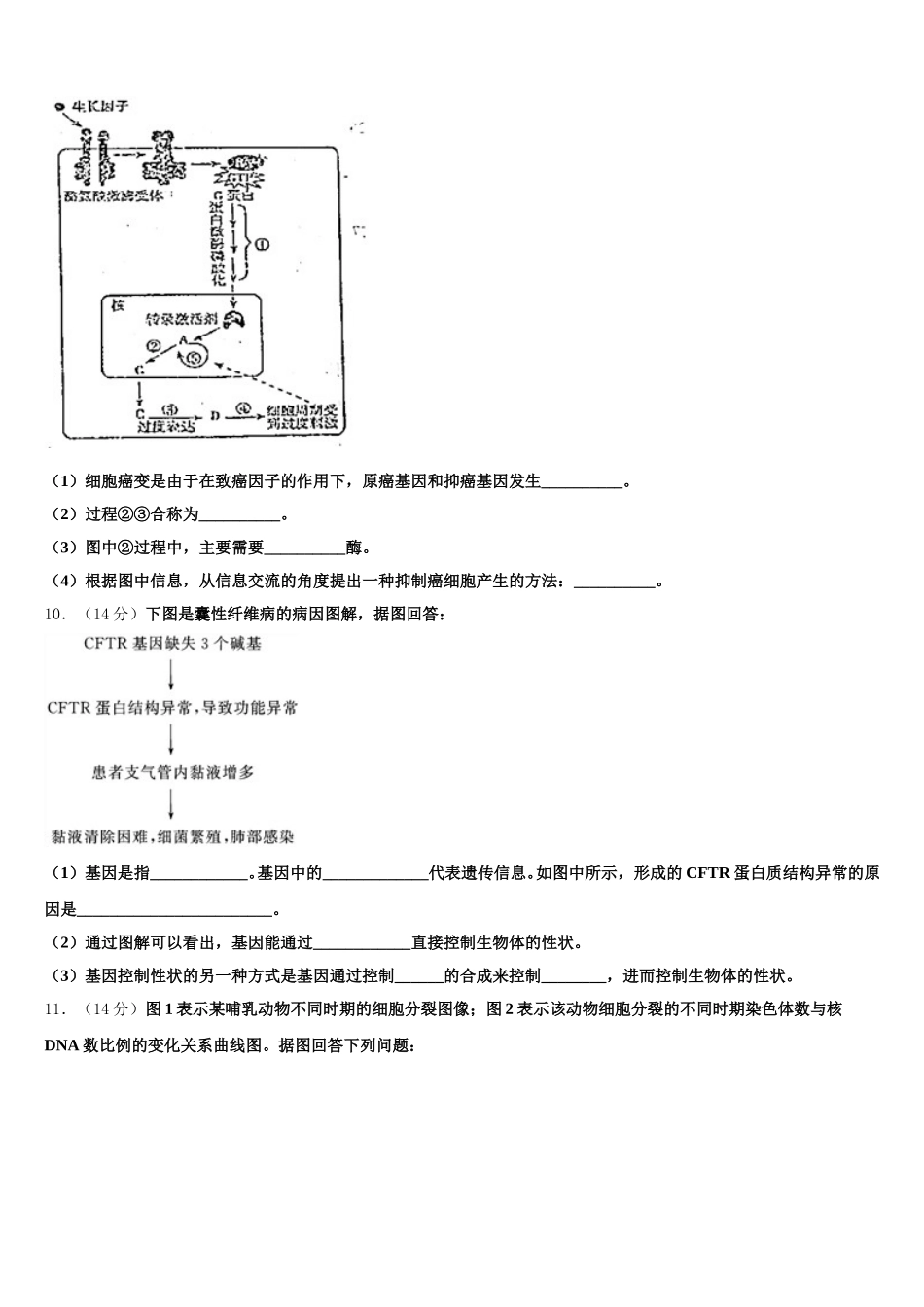 山西省实验中学2025届高一下生物期末调研试题含解析_第3页