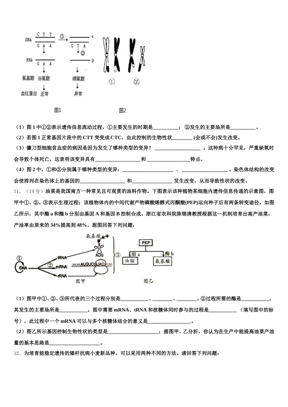 2025届山西省长治市第九中学生物高一下期末学业水平测试试题含解析_第3页