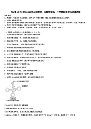 2024-2025学年山西省运城中学、芮城中学高一下生物期末达标测试试题含解析