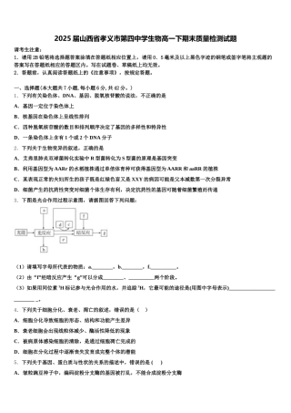 2025届山西省孝义市第四中学生物高一下期末质量检测试题含解析