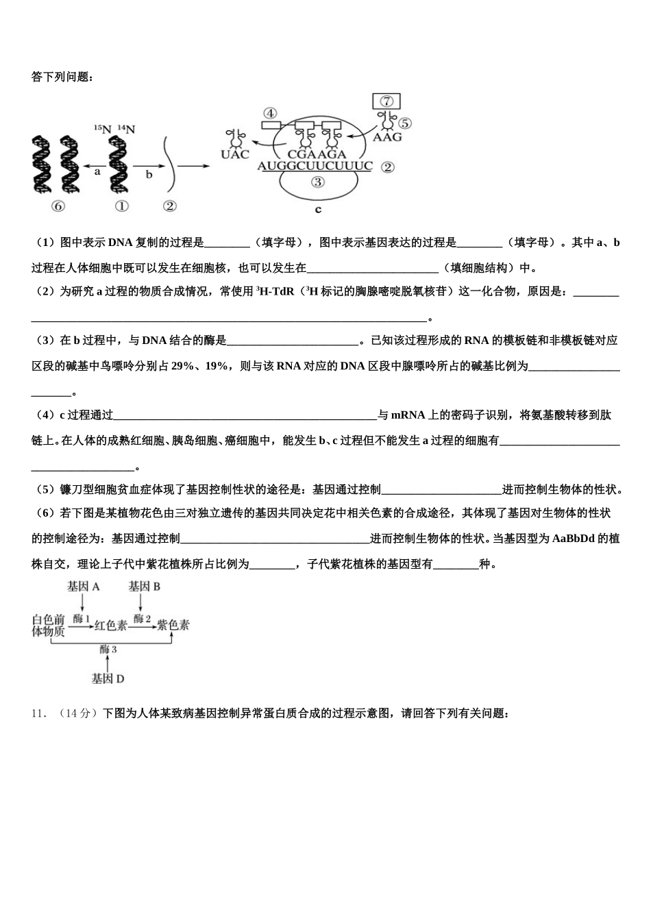 2024-2025学年山西省临汾市洪洞县第一中学生物高一下期末统考模拟试题含解析_第3页