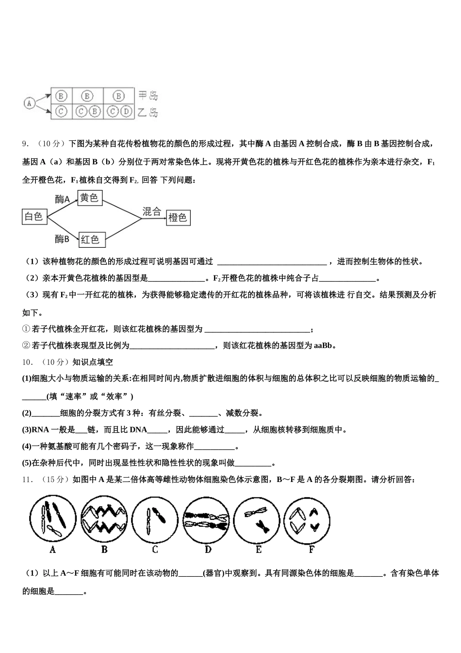 2025年山西省大同市铁路一中生物高一第二学期期末考试模拟试题含解析_第3页