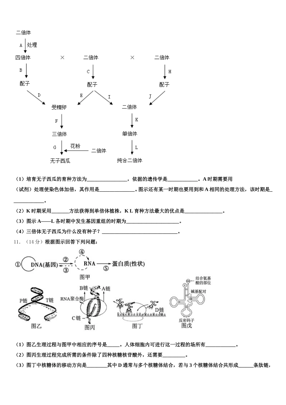 山西省临汾市第一中学等五校2025届高一生物第二学期期末经典模拟试题含解析_第3页