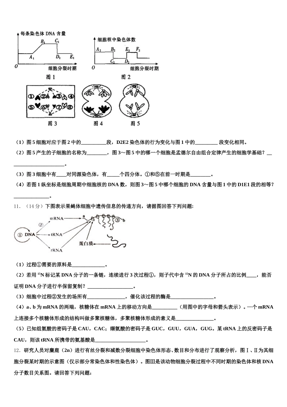 2025年山西省太原市成成中学校生物高一第二学期期末质量跟踪监视试题含解析_第3页