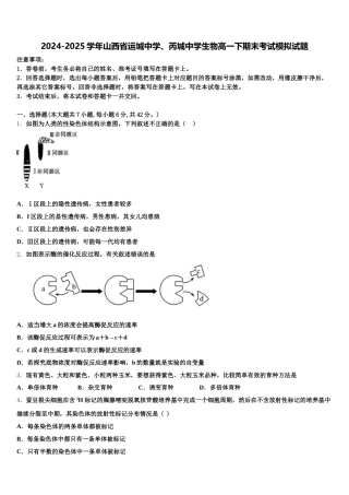 2024-2025学年山西省运城中学、芮城中学生物高一下期末考试模拟试题含解析