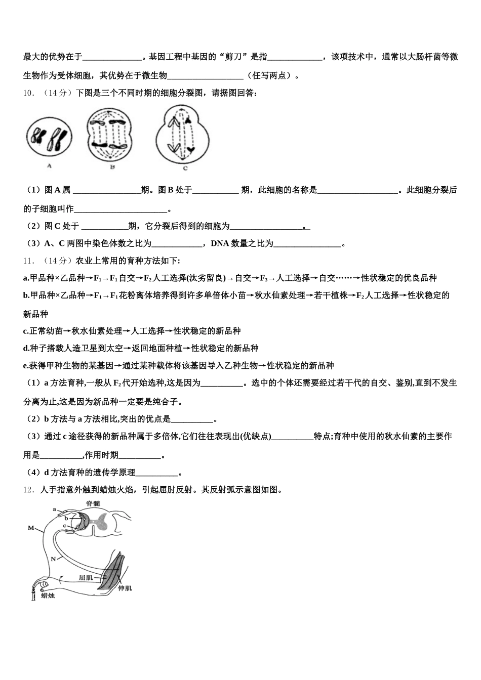 高平市第一中学2024-2025学年高一下生物期末质量检测试题含解析_第3页