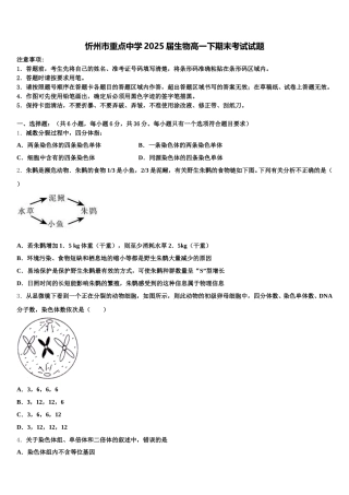 忻州市重点中学2025届生物高一下期末考试试题含解析