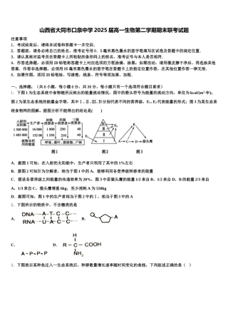山西省大同市口泉中学2025届高一生物第二学期期末联考试题含解析（二）