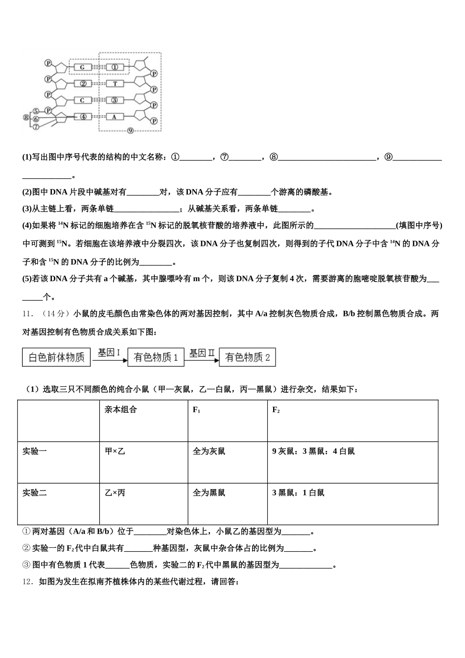 2025届山西省忻州市忻州市第一中学校生物高一第二学期期末预测试题含解析_第3页
