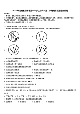 2025年山西省朔州市第一中学生物高一第二学期期末质量检测试题含解析