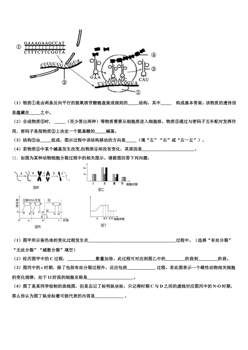 山西省阳泉市第十一中学2024-2025学年高一下生物期末考试模拟试题含解析_第3页