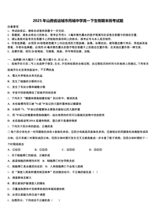 2025年山西省运城市芮城中学高一下生物期末统考试题含解析