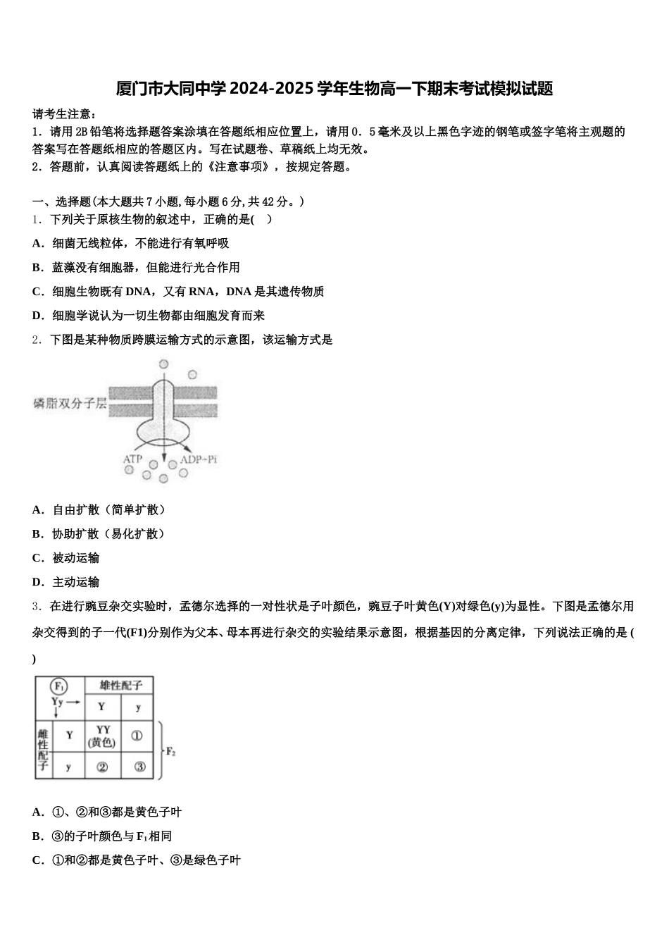 厦门市大同中学2024-2025学年生物高一下期末考试模拟试题含解析_第1页