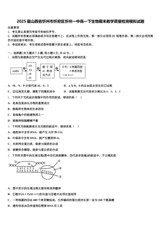 2025届山西省忻州市忻府区忻州一中高一下生物期末教学质量检测模拟试题含解析