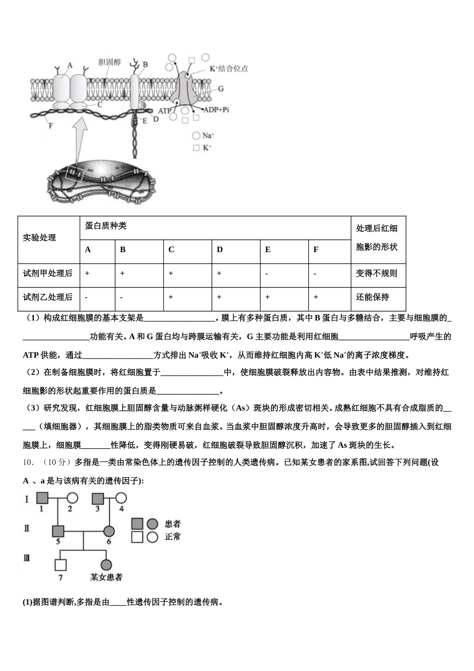2025年山西省临汾一中生物高一第二学期期末综合测试模拟试题含解析_第3页