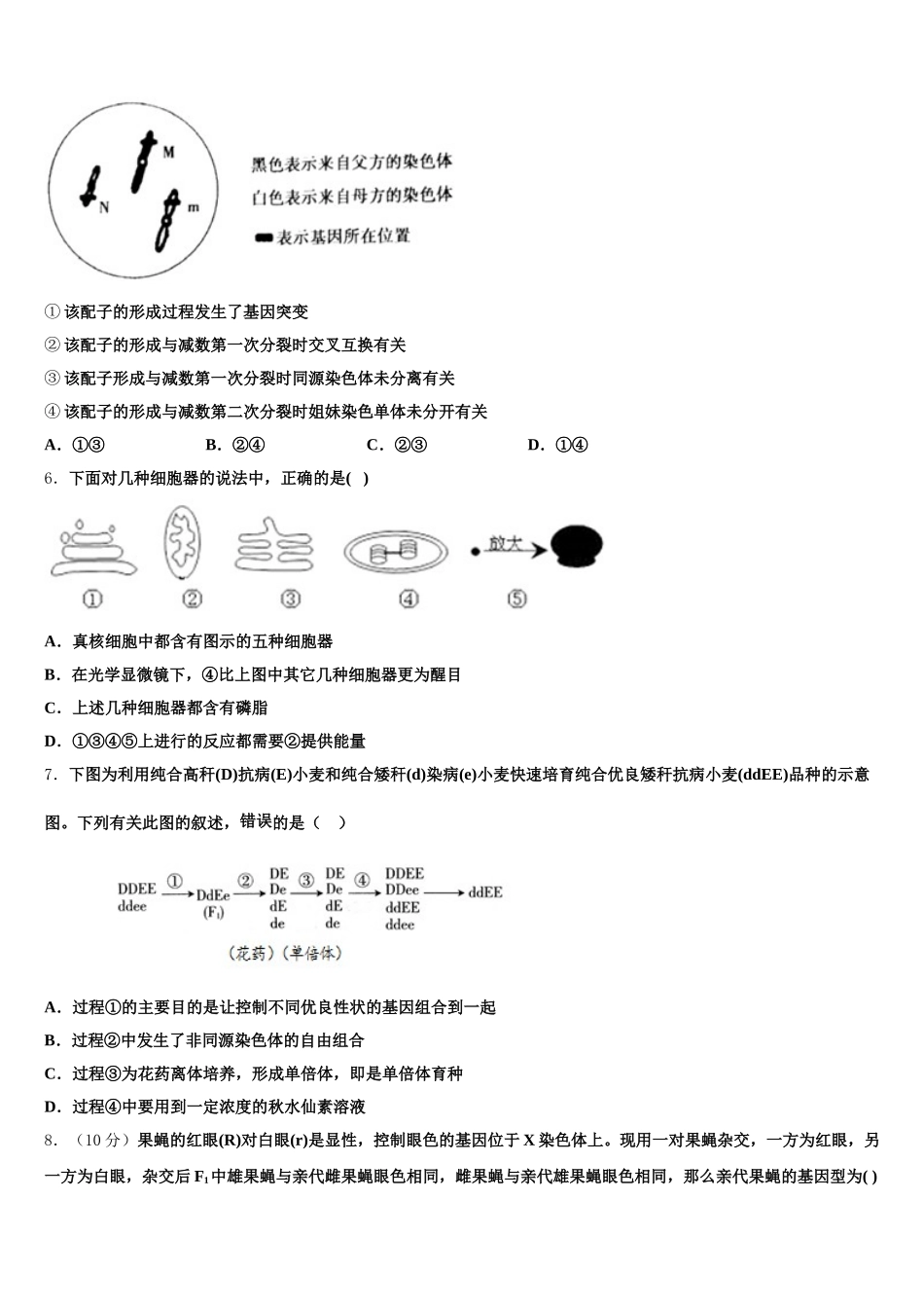 2025年山西省太原市金河中学生物高一第二学期期末学业质量监测模拟试题含解析_第2页