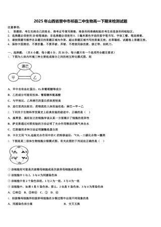 2025年山西省晋中市祁县二中生物高一下期末检测试题含解析