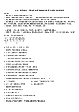 2025届山西省太原市育英中学高一下生物期末复习检测试题含解析