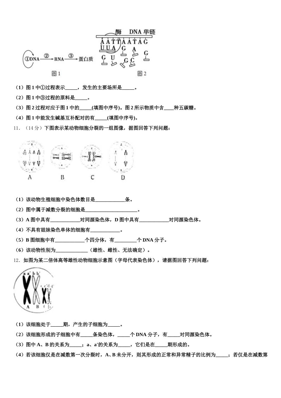 山西省长治市沁县中学2024-2025学年生物高一下期末调研模拟试题含解析_第3页