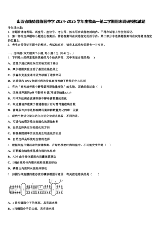 山西省临猗县临晋中学2024-2025学年生物高一第二学期期末调研模拟试题含解析