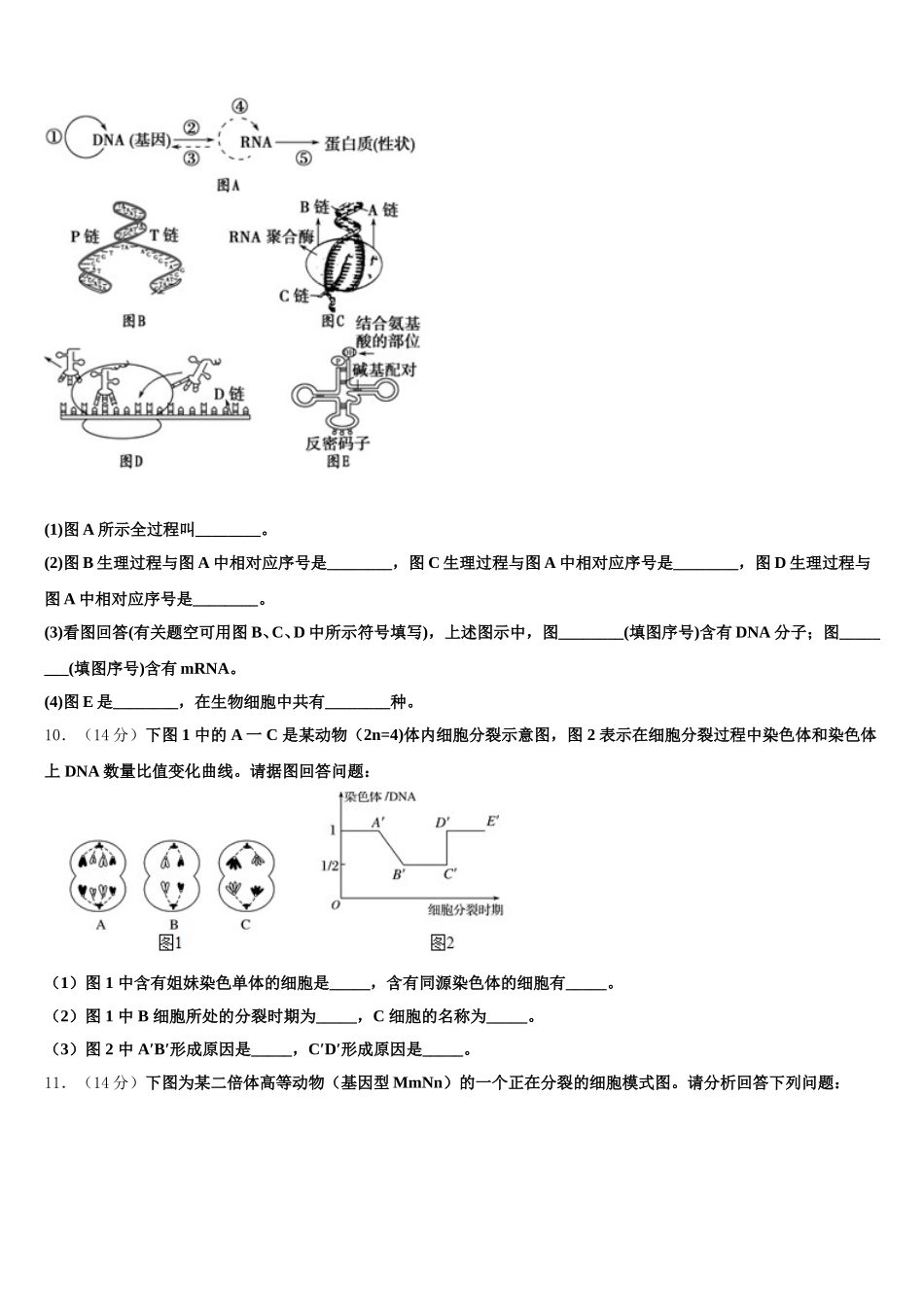山西省孝义市）2025届生物高一下期末检测试题含解析_第3页