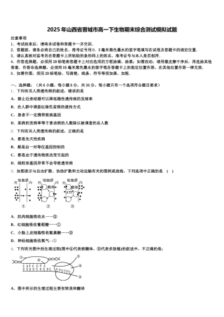 2025年山西省晋城市高一下生物期末综合测试模拟试题含解析