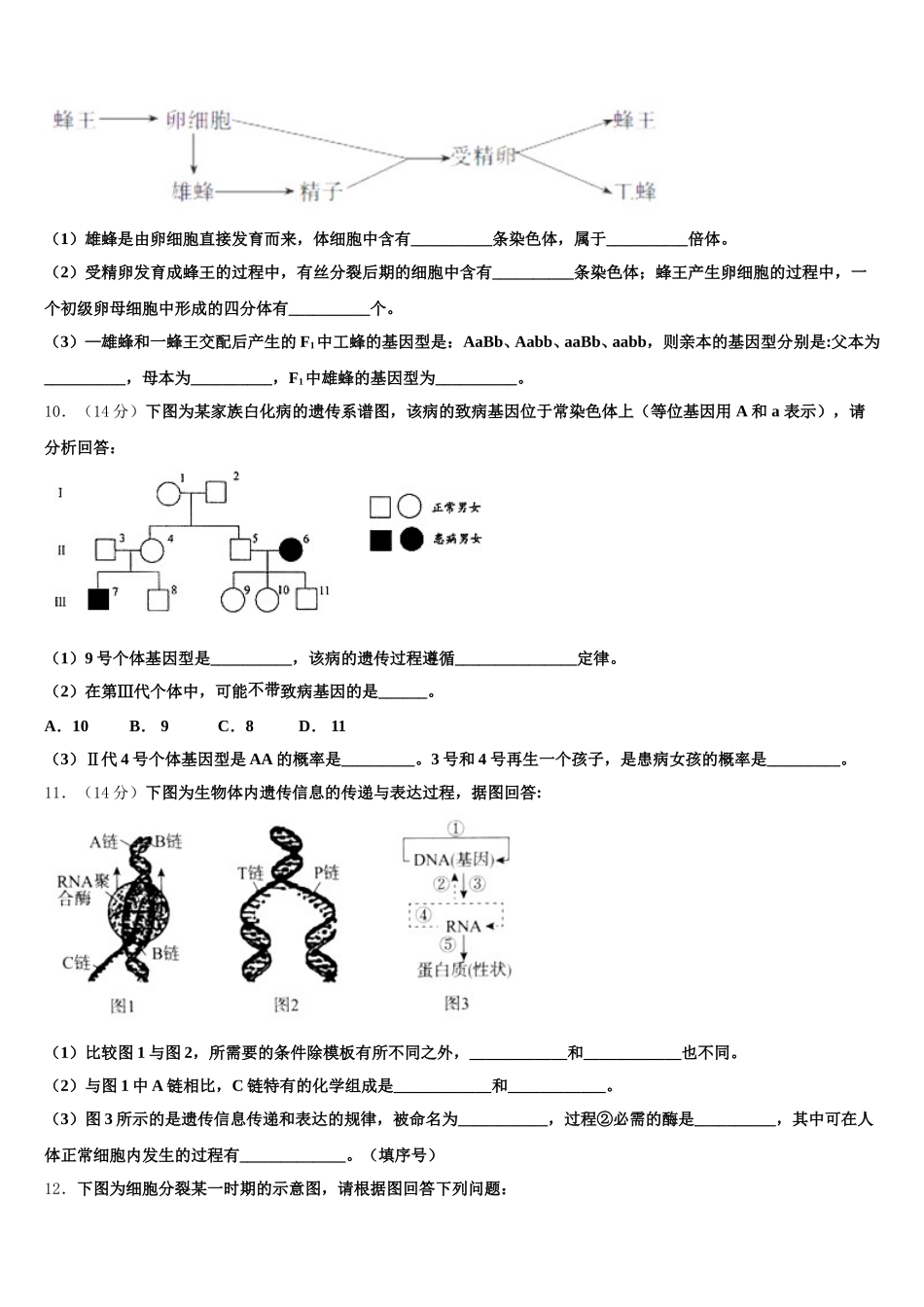 2024-2025学年朔州市重点中学生物高一下期末考试试题含解析_第3页