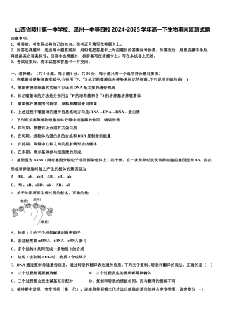 山西省陵川第一中学校、泽州一中等四校2024-2025学年高一下生物期末监测试题含解析