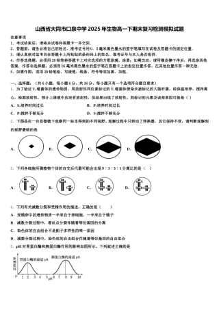 山西省大同市口泉中学2025年生物高一下期末复习检测模拟试题含解析
