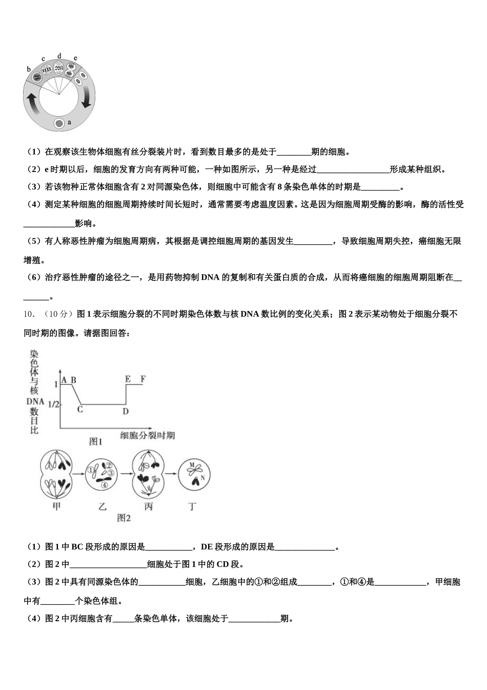 山西省朔州市怀仁县第一中学、应县第一中学2025届高一生物第二学期期末质量跟踪监视模拟试题含解析_第3页