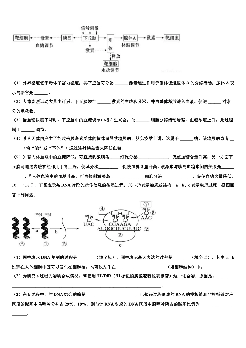 2025年晋城市第一中学高一下生物期末经典试题含解析_第3页
