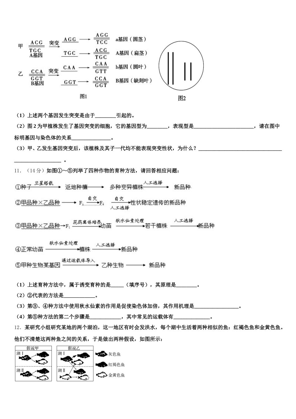 2024-2025学年山西省朔州市怀仁第一中学生物高一第二学期期末教学质量检测模拟试题含解析_第3页