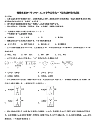 晋城市重点中学2024-2025学年生物高一下期末调研模拟试题含解析
