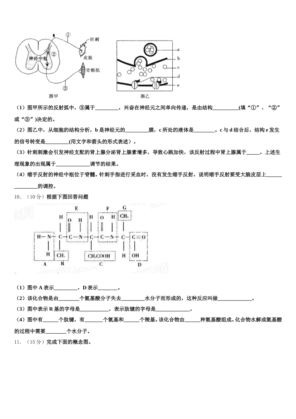 山西省芮城市2024-2025学年生物高一第二学期期末经典试题含解析_第3页