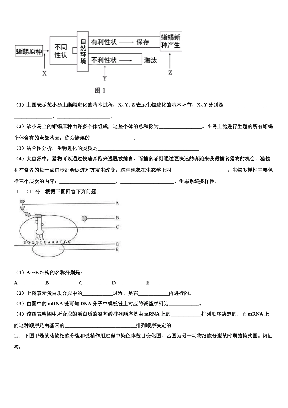 山西省太原师范学院附属中学，师苑中学2025年高一生物第二学期期末统考模拟试题含解析_第3页