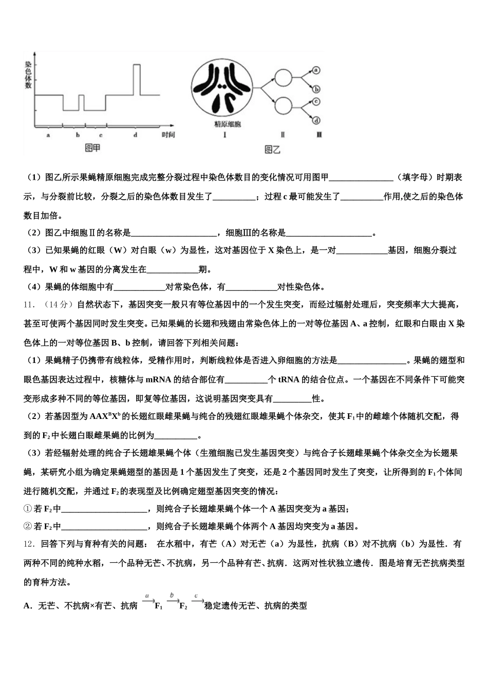 高平市第一中学2025年生物高一下期末考试模拟试题含解析_第3页