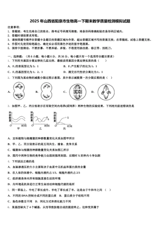 2025年山西省阳泉市生物高一下期末教学质量检测模拟试题含解析