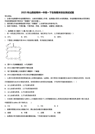 2025年山西省朔州一中高一下生物期末综合测试试题含解析