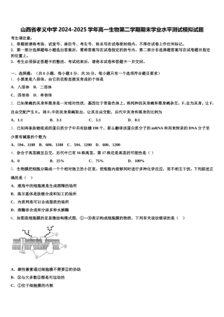 山西省孝义中学2024-2025学年高一生物第二学期期末学业水平测试模拟试题含解析