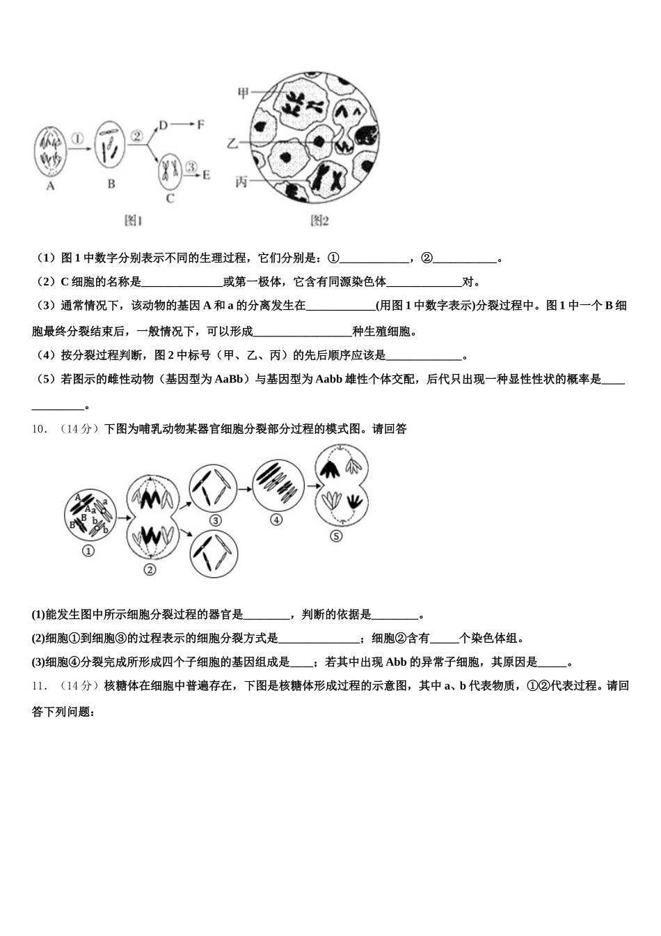 山西省阳泉市第十一中学2025届高一下生物期末经典模拟试题含解析_第3页