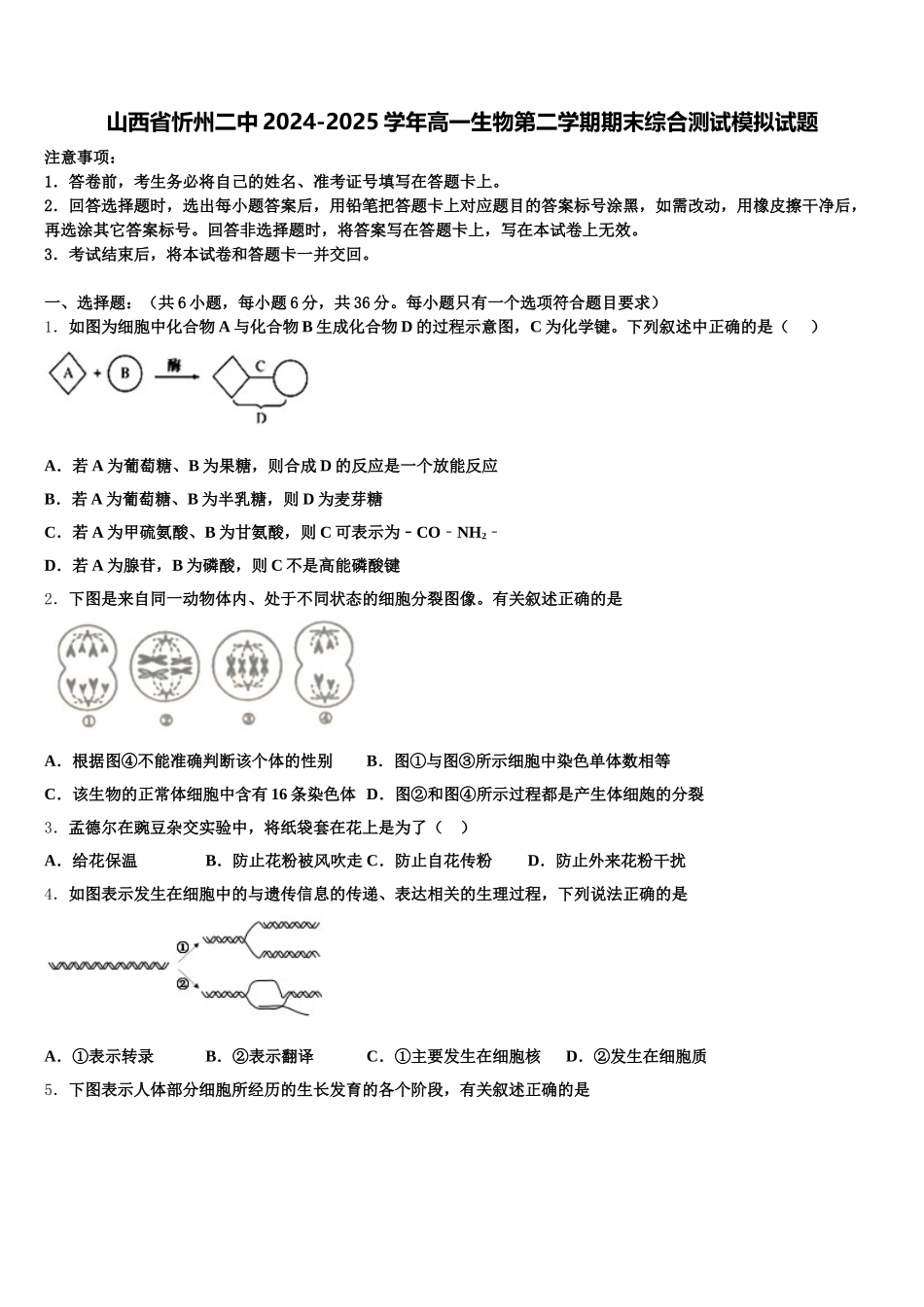 山西省忻州二中2024-2025学年高一生物第二学期期末综合测试模拟试题含解析_第1页