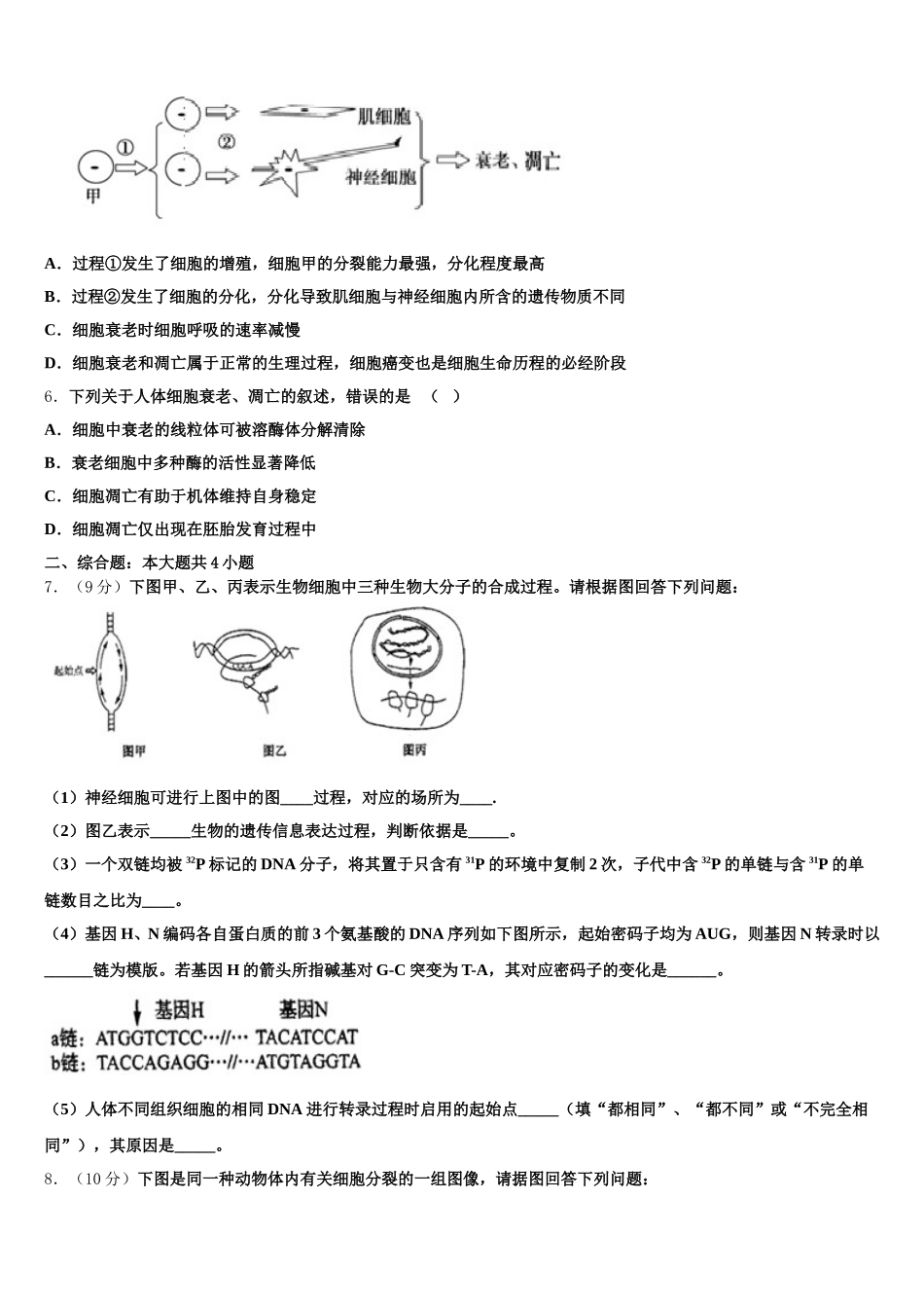 山西省忻州二中2024-2025学年高一生物第二学期期末综合测试模拟试题含解析_第2页