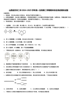 山西省忻州二中2024-2025学年高一生物第二学期期末综合测试模拟试题含解析