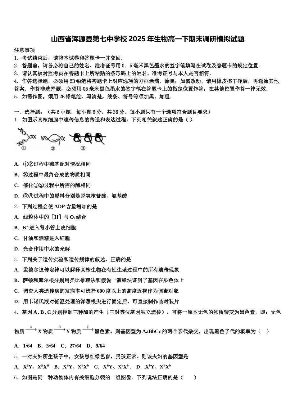 山西省浑源县第七中学校2025年生物高一下期末调研模拟试题含解析_第1页